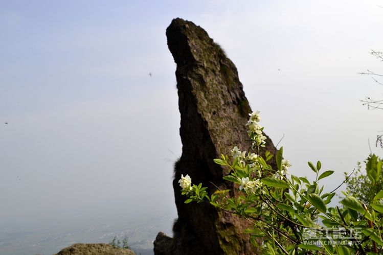 _DSC0172_副本.jpg