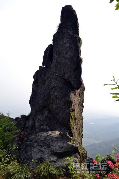 _DSC0176_副本.jpg