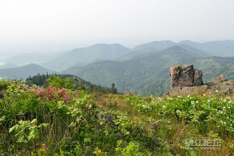 _DSC0231_副本.jpg