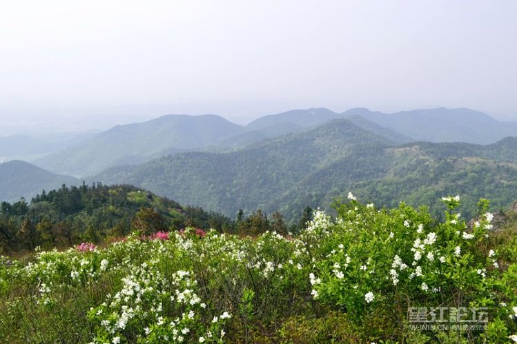 _DSC0237_副本.jpg