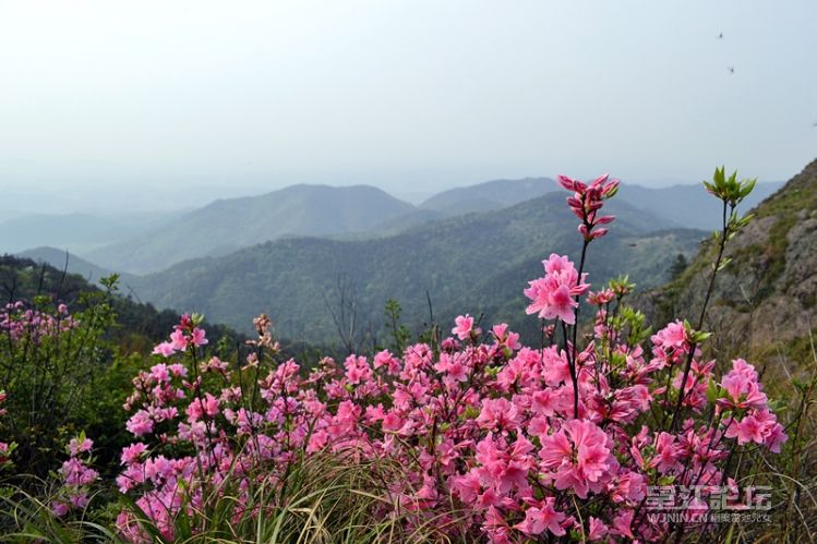 _DSC0256_副本.jpg