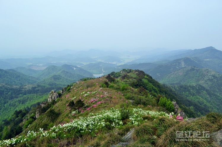 _DSC0301_副本.jpg