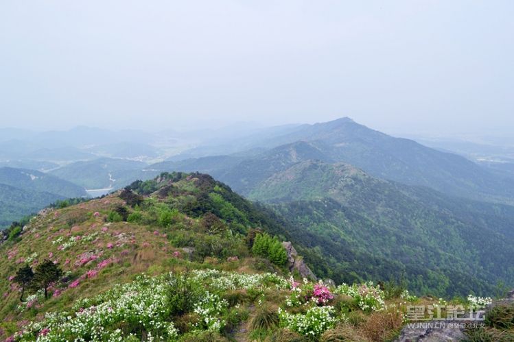 _DSC0302_副本.jpg