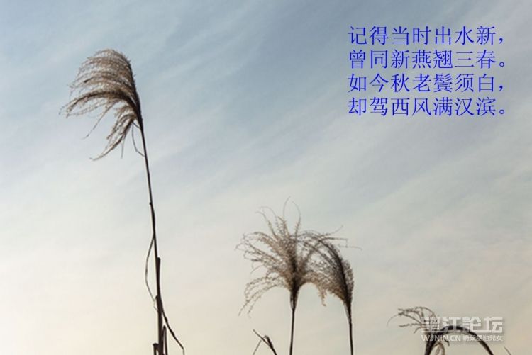 DSC_0477_副本.jpg