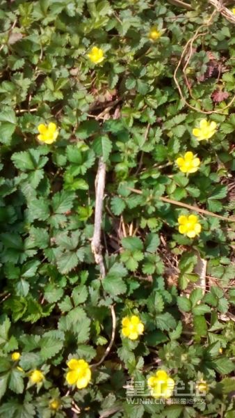 IMG_20150321_143905_副本.jpg