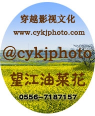 豆瓣.jpg