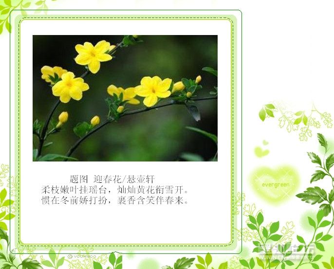t01ff54b3b16ceb4be7_副本_副本_副本_副本_副本.jpg