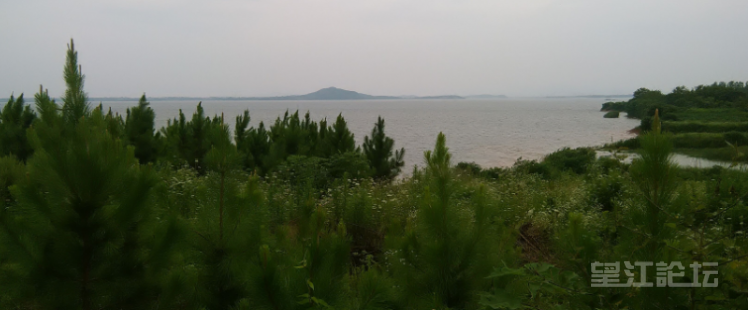 QQ图片20150627152810.png
