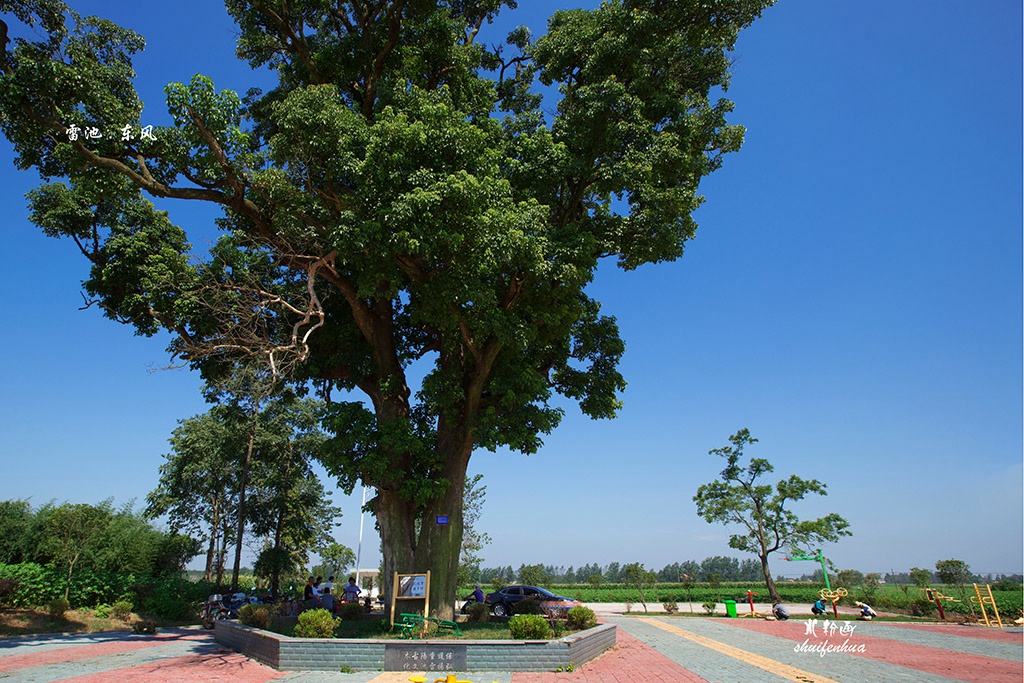 雷池东风2.jpg