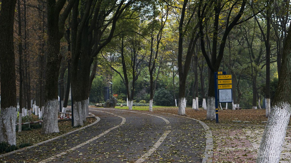 _DSC7019.JPG