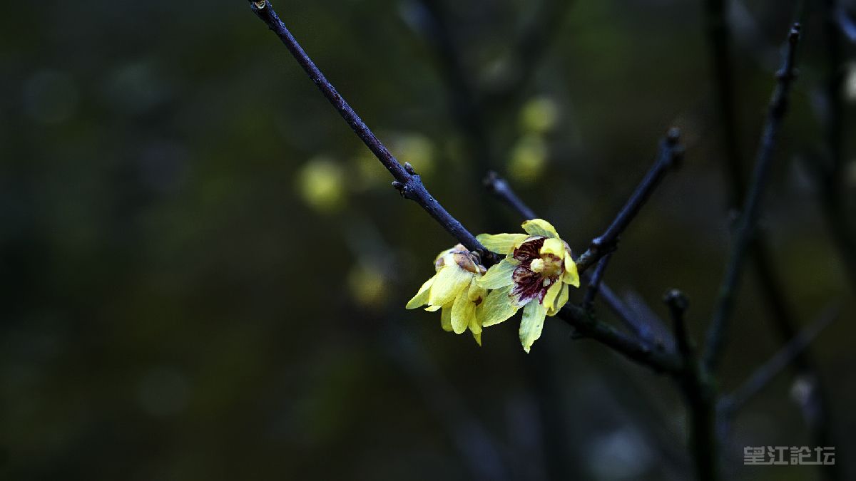 _DSC7887_鍓?湰.jpg