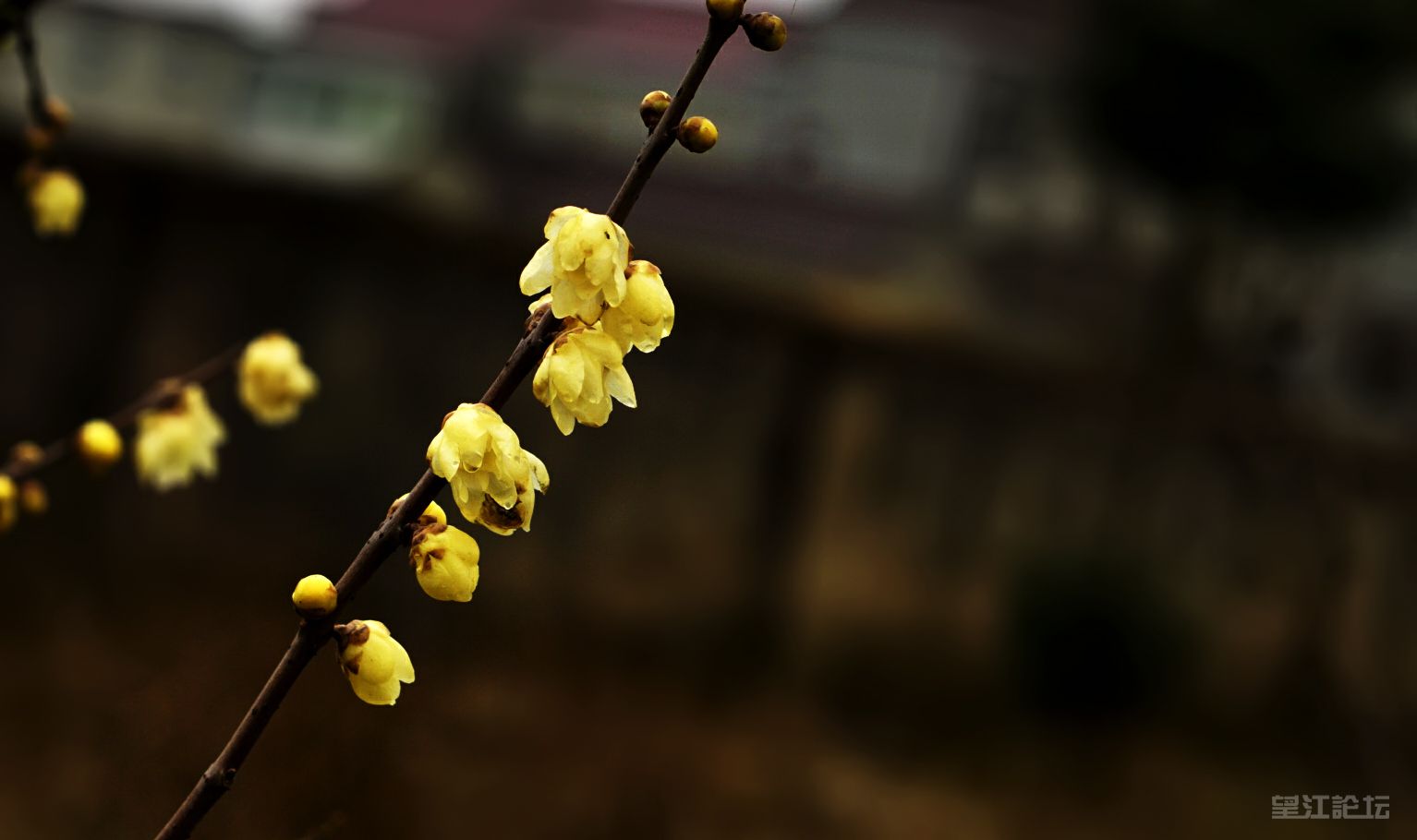 _DSC7889_鍓?湰.jpg