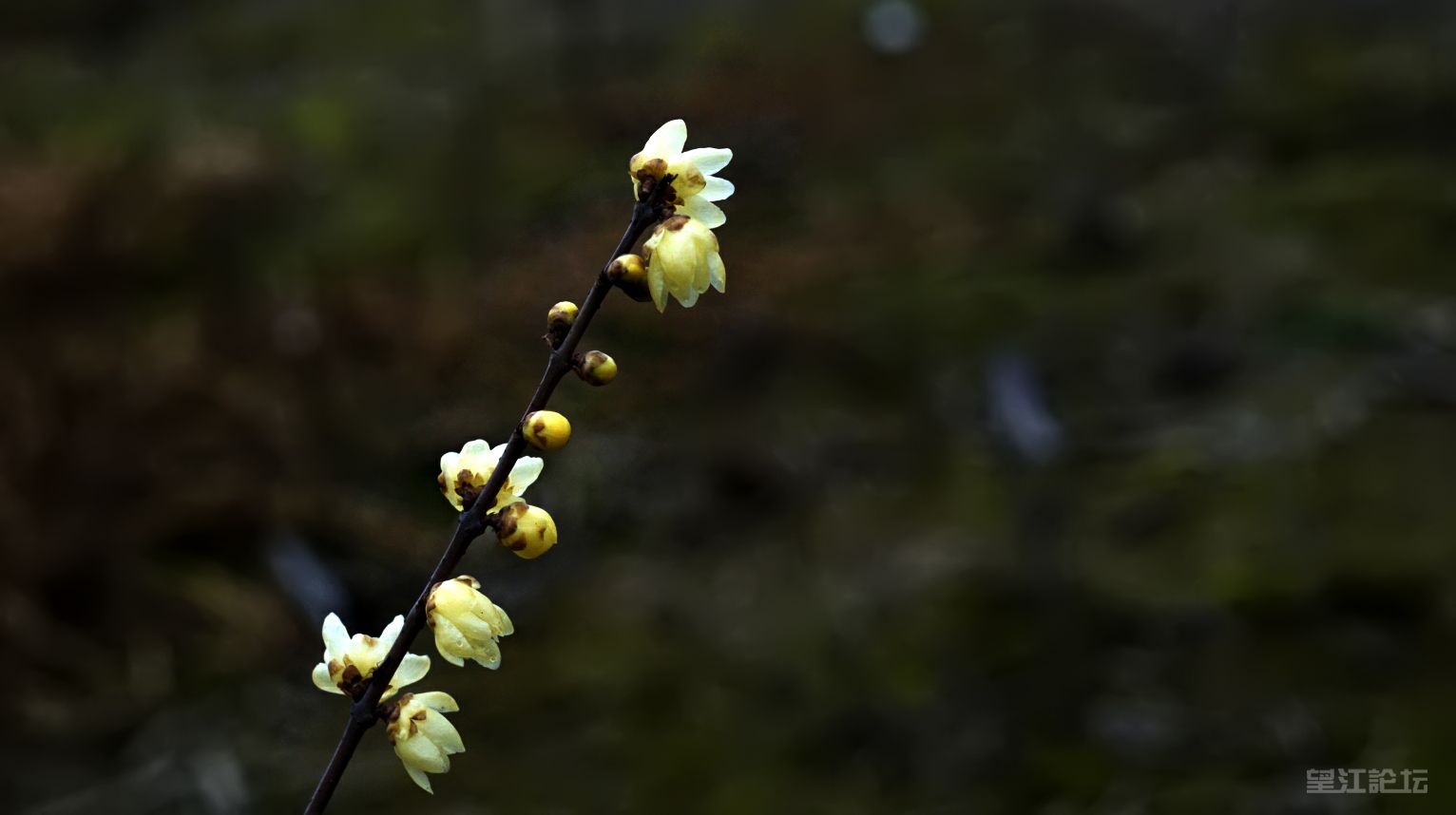 _DSC7891_鍓?湰.jpg