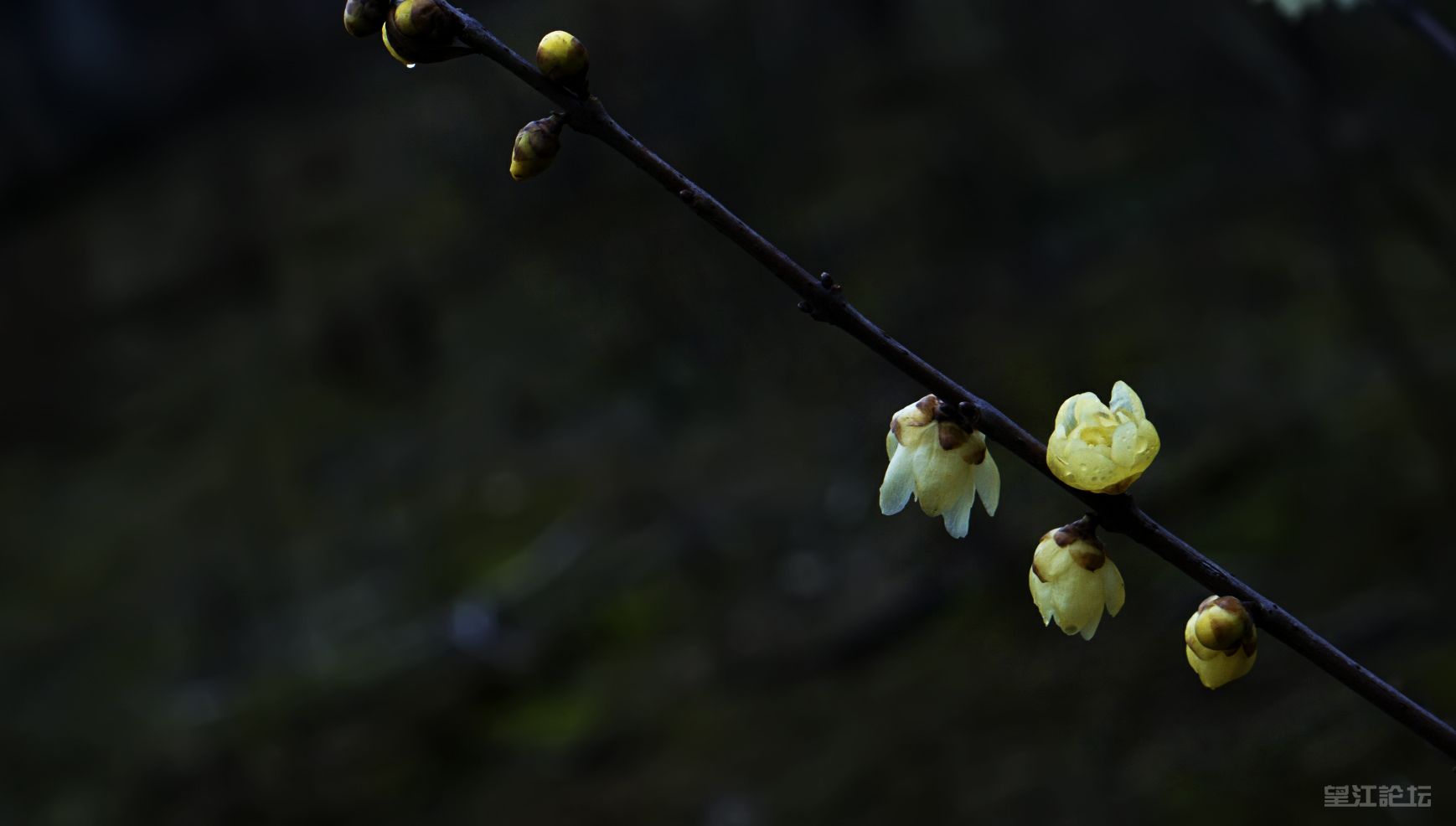 _DSC7896_鍓?湰.jpg