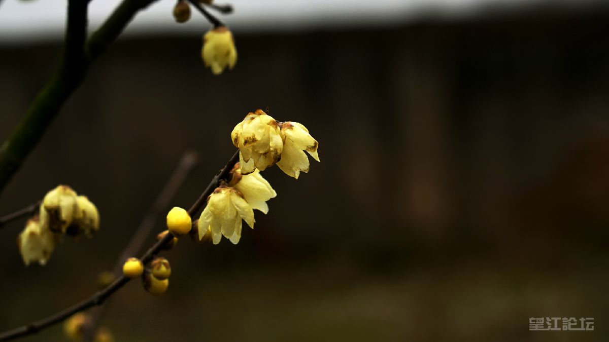 _DSC7894_鍓?湰.jpg