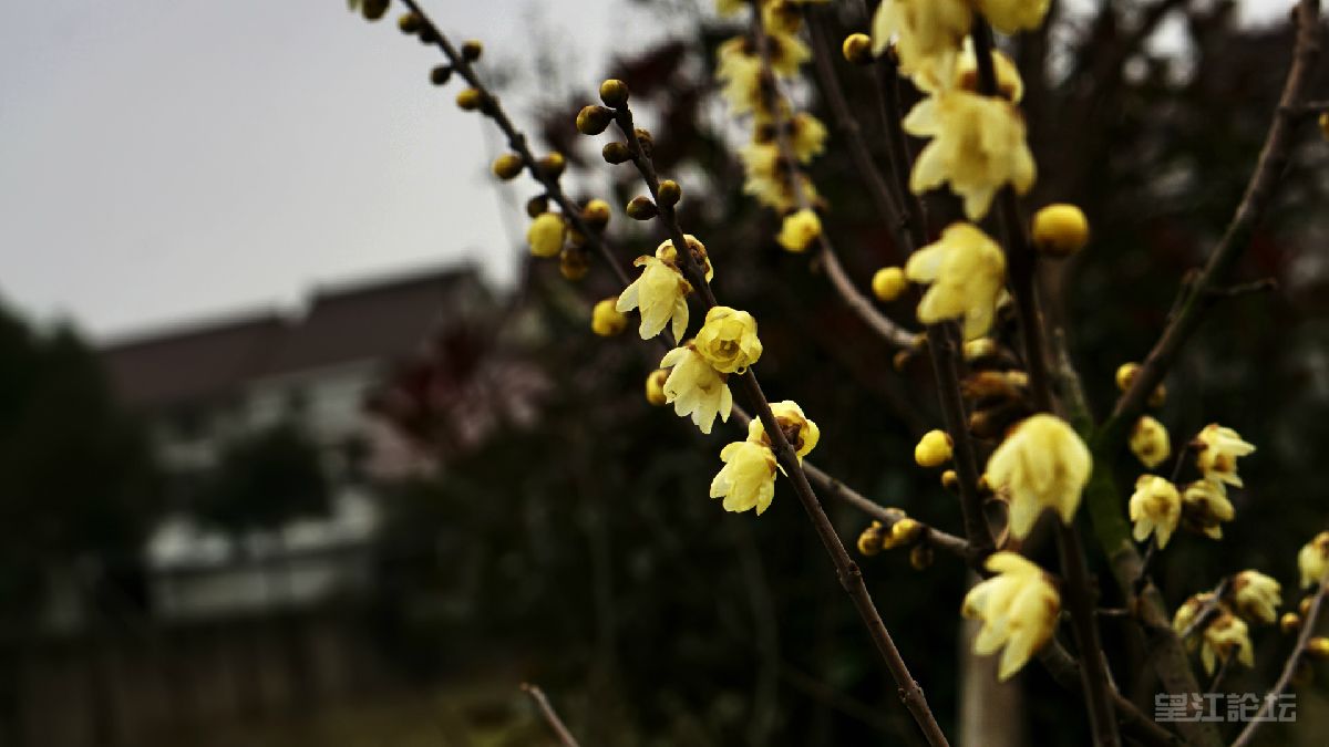_DSC7897_鍓?湰.jpg