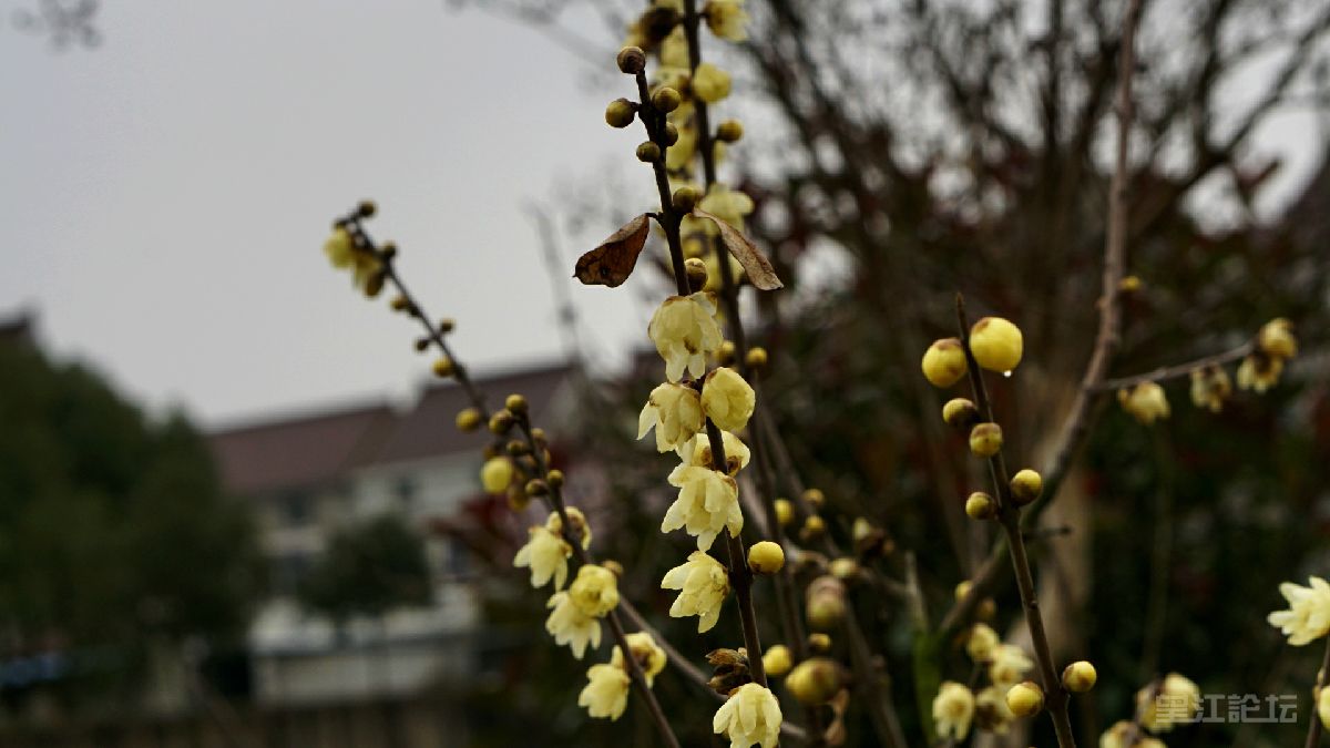 _DSC7898_鍓?湰.jpg