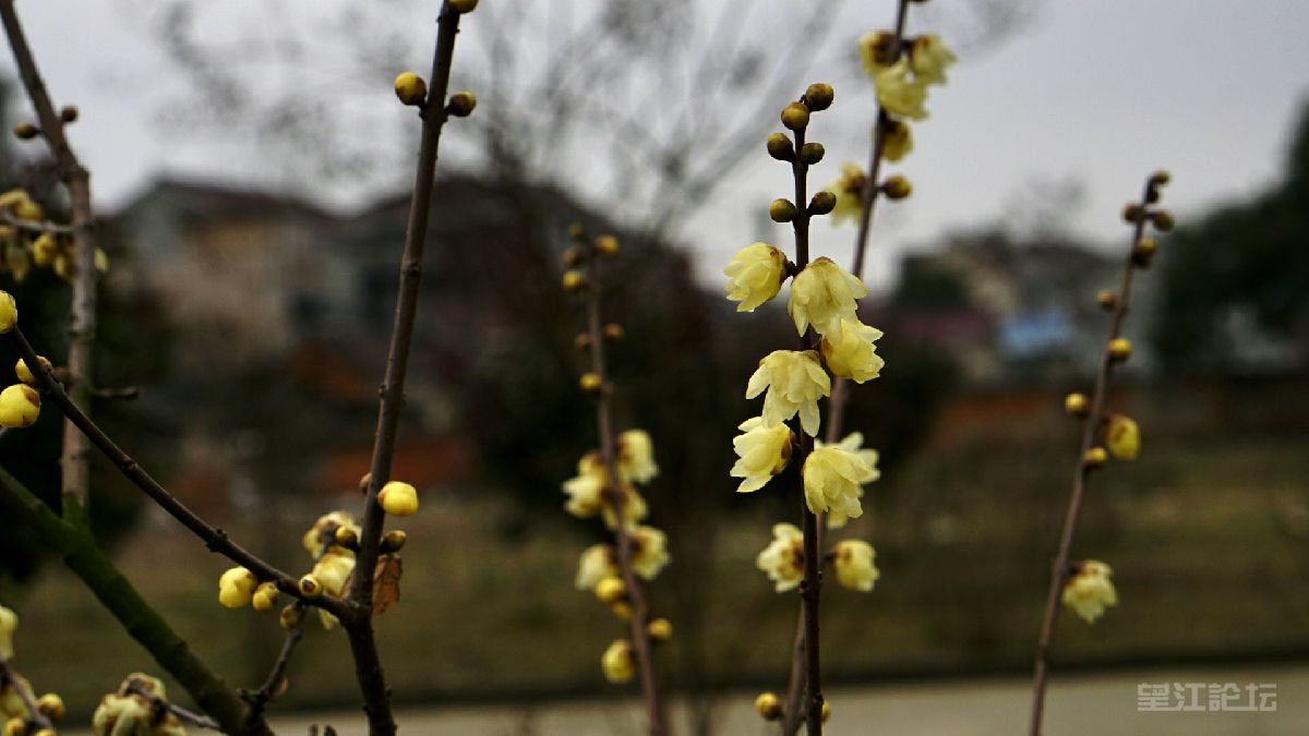 _DSC7901_鍓?湰.jpg