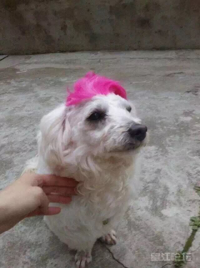 闈炰富娴