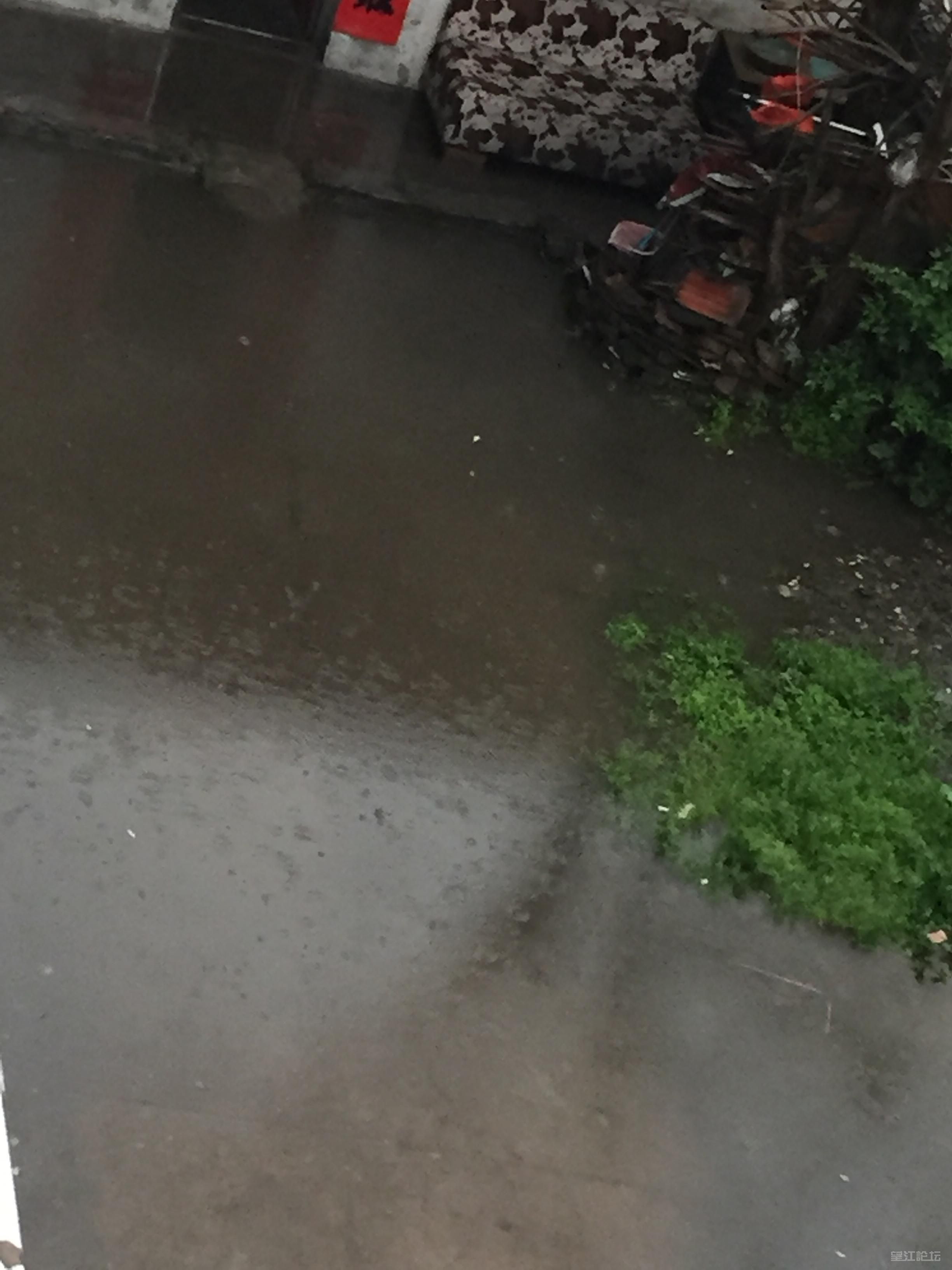 水.JPG