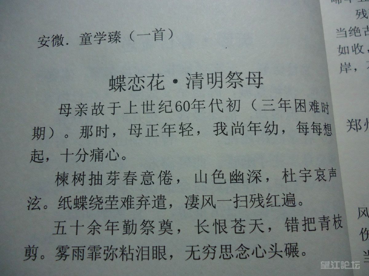 DSC00751.JPG