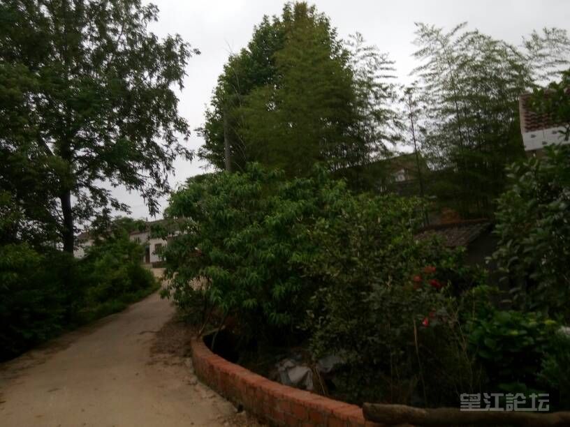 120959ymzk9qg89lq0j90l.jpg