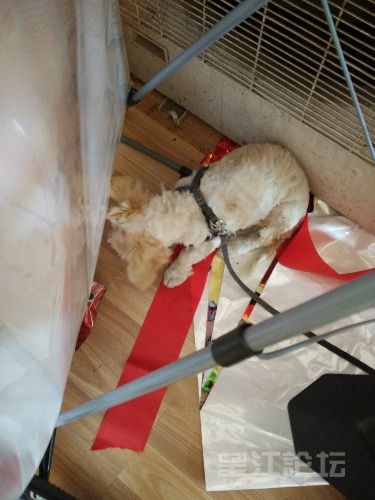 IMG_20160517_091936_1.jpg