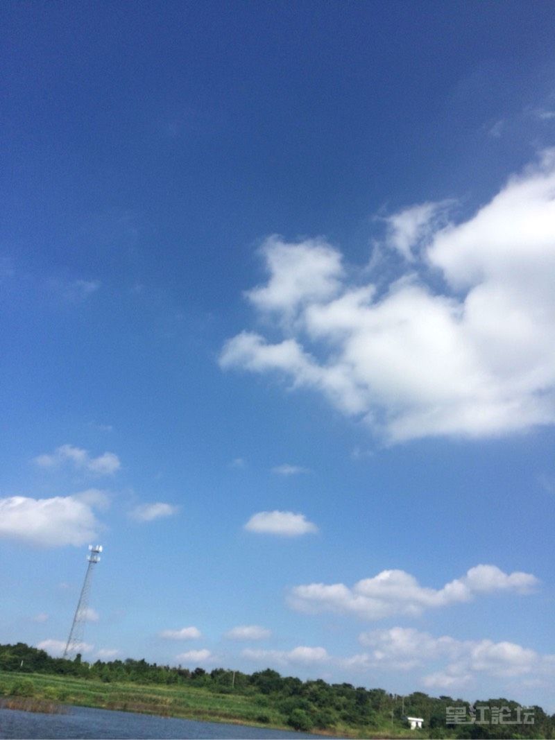 213854wq2bpaxfumxkmzkh.jpg