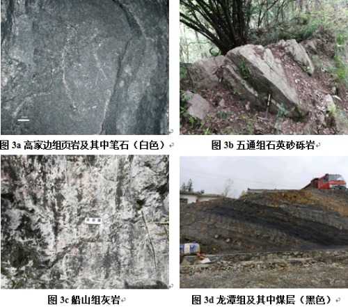 Fig.3.jpg