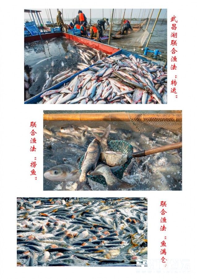 微信图片_20220919102038.jpg