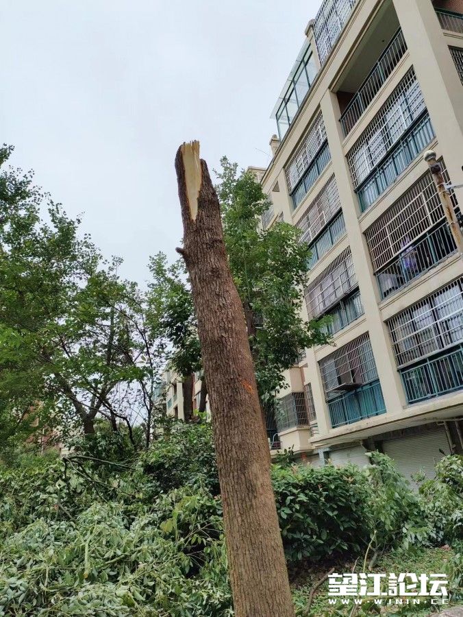 微信图片_20230930191613.jpg