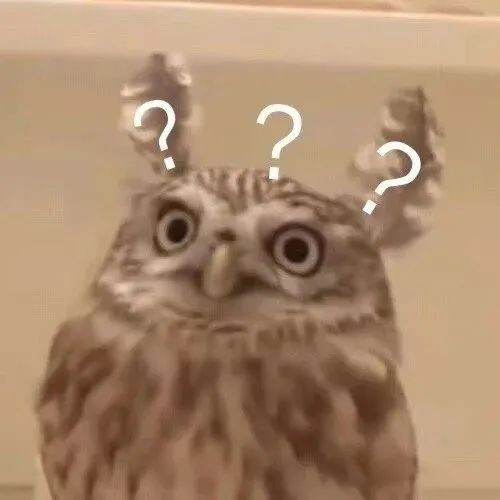qw3.jpg
