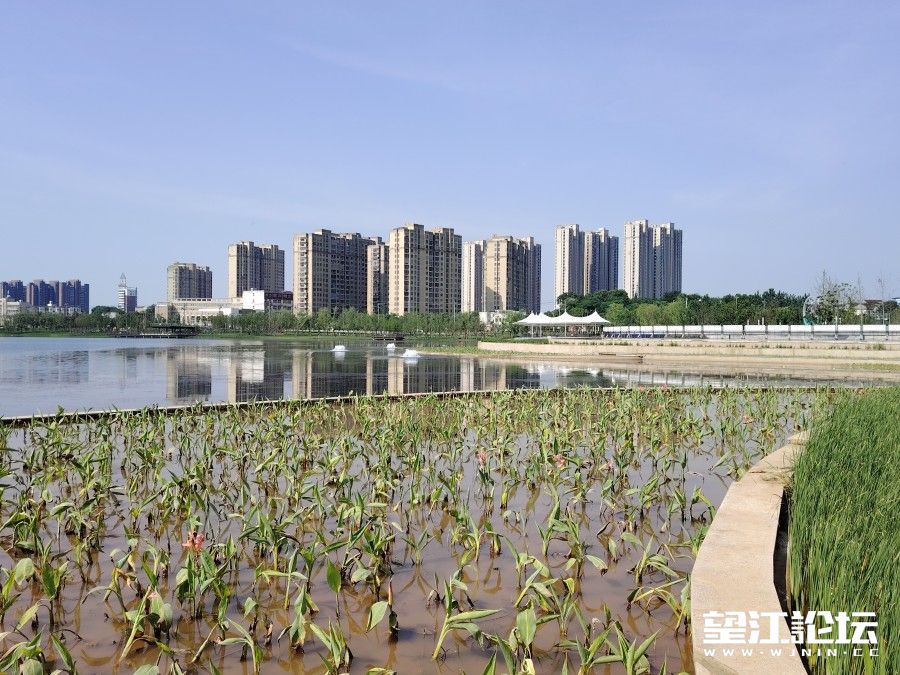 微信图片_20240524153620.jpg