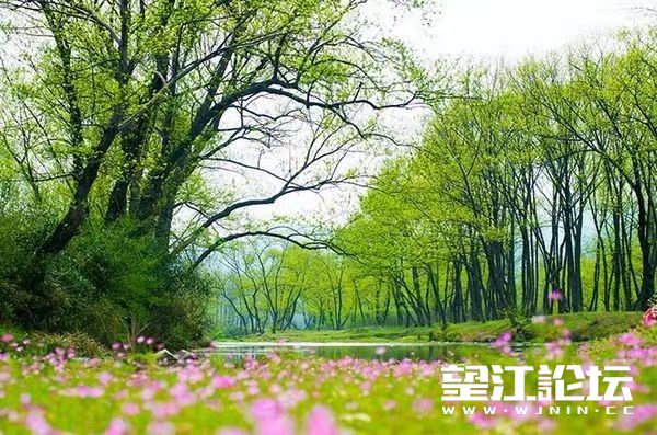 微信图片_20240609102708.jpg