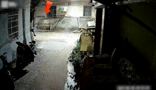 11.gif