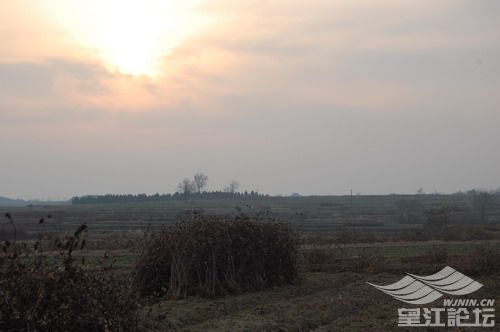 DSC_0080.jpg