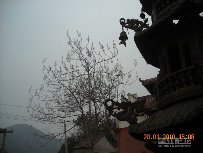 DSCN2126.JPG