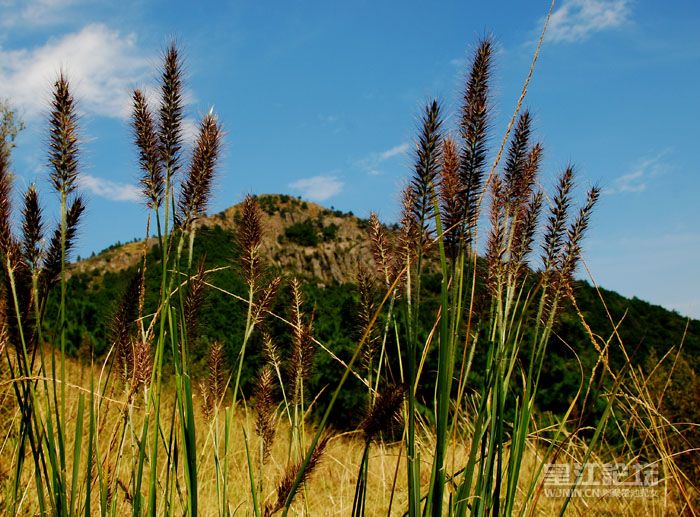 20081213_179a73045a647c589b1awtfLvGuAbZNe.jpg