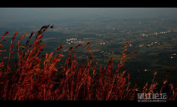 20081213_b05790e6b290e6e21bf8R8dTZJiU47WW.jpg
