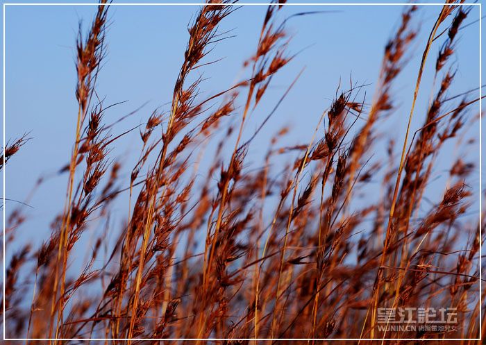 20081213_bf534aae2edc8a8cc304140mPIZ84W9R.jpg