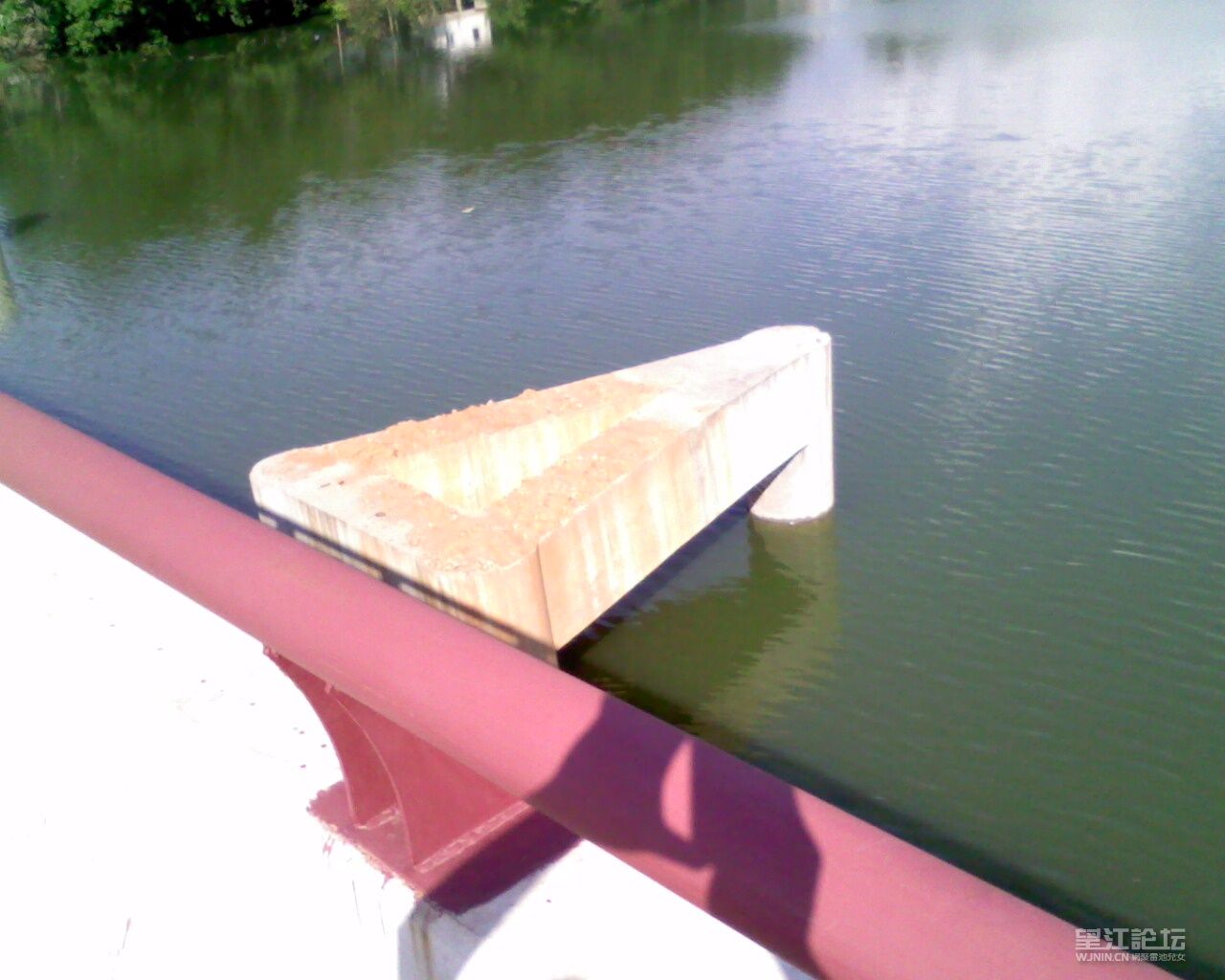 IMG0211A.jpg