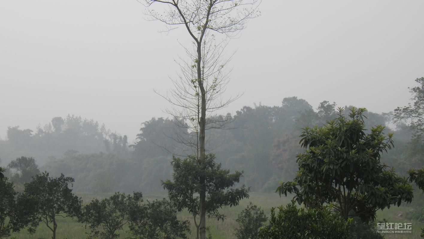 PA090263.JPG