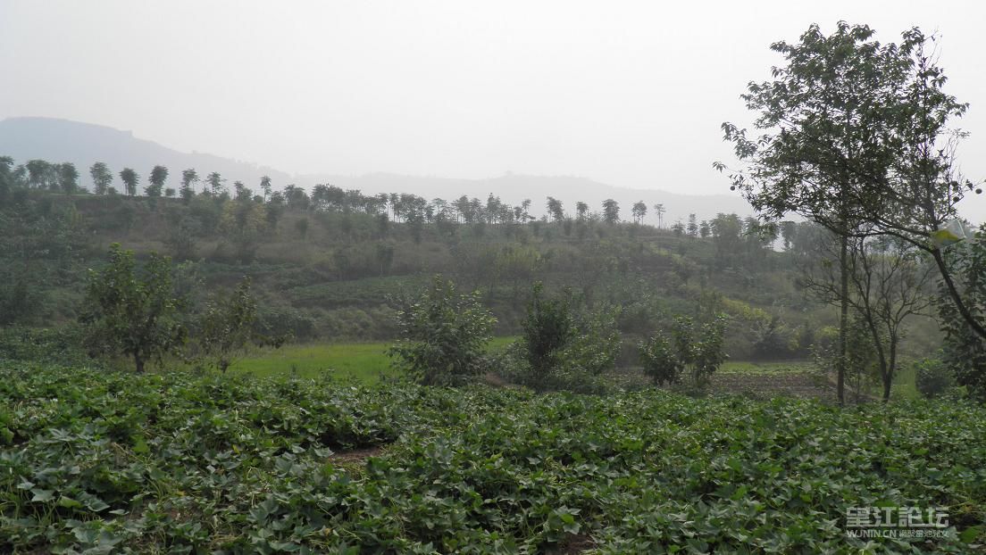 PA090247.JPG