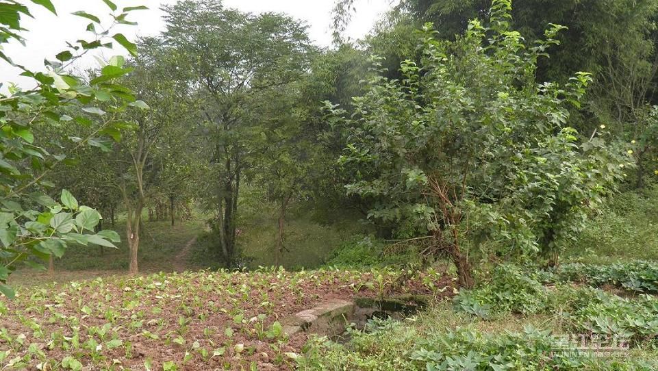 PA090249.JPG
