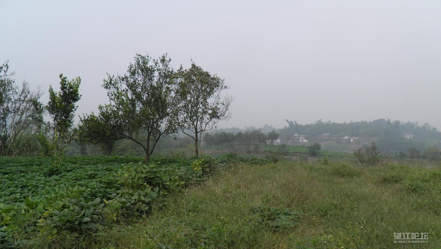 PA090248.JPG