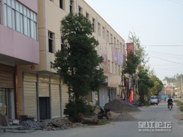 DSC01003.JPG