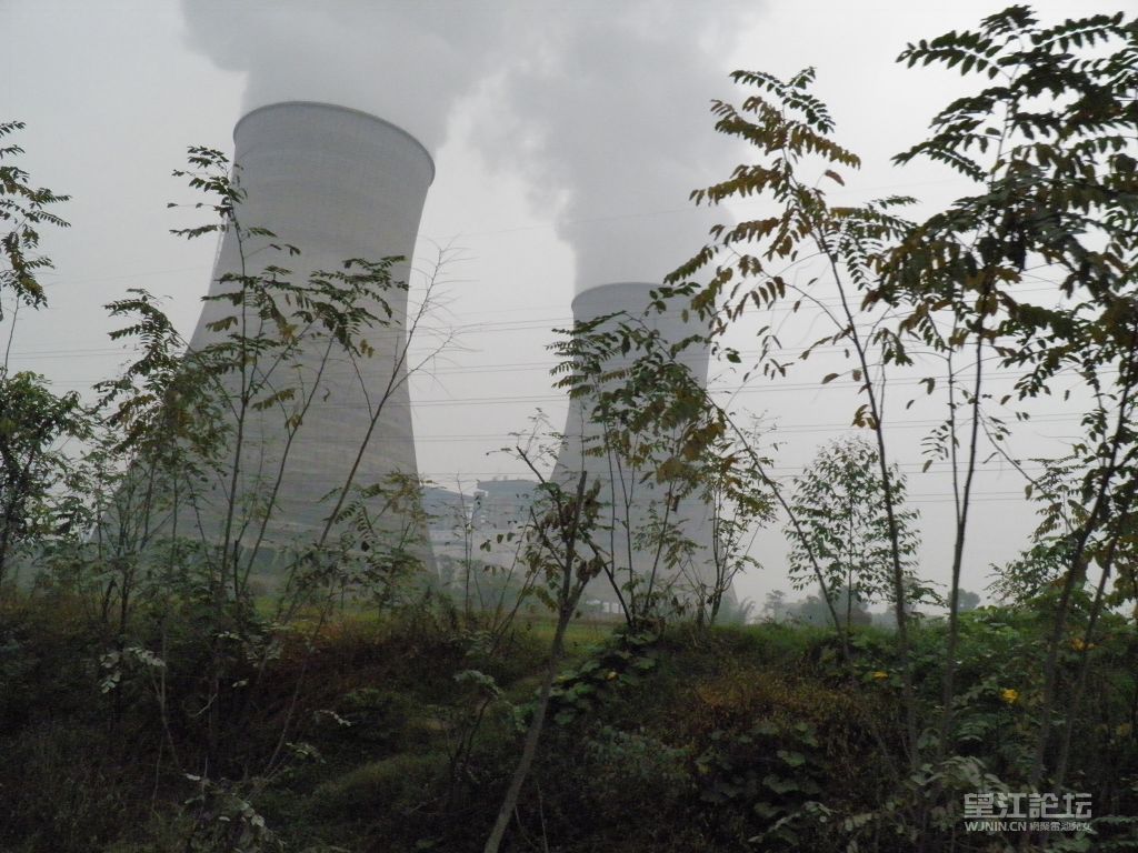 PB130028_眸目压缩.JPG