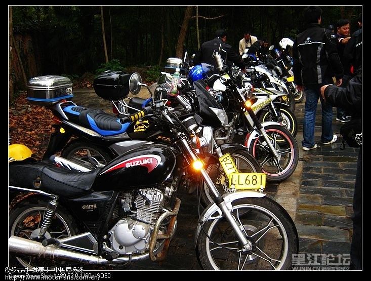 XVN351qQv5497.jpg