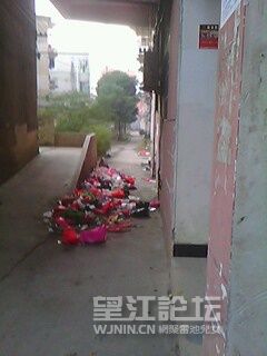 IMG0065A.jpg