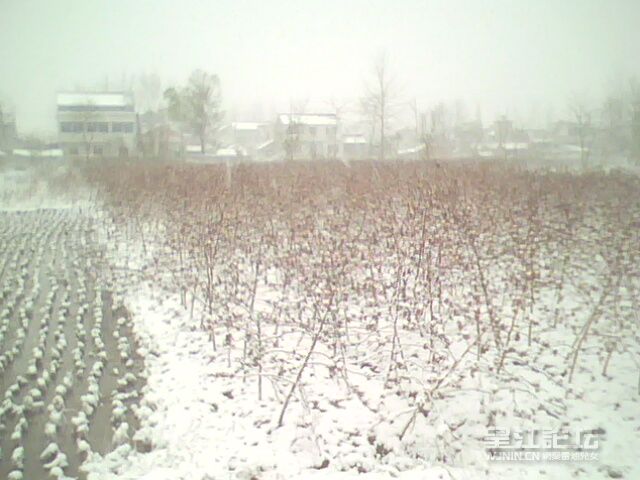 IMG0265A.jpg